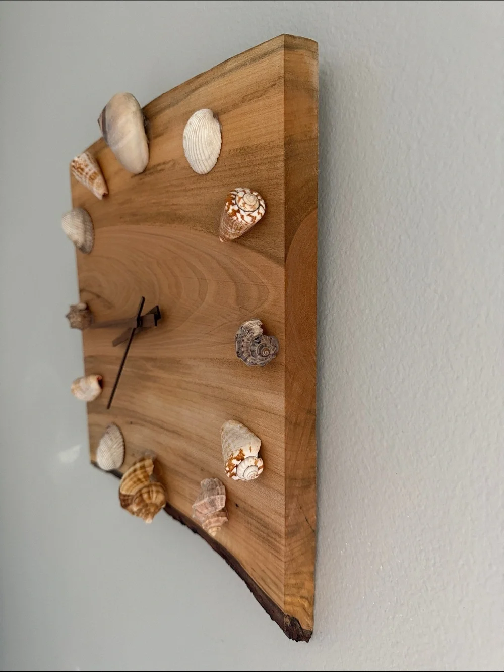 Natural Wood Wall Clock with Sea Shell Accents - Brown